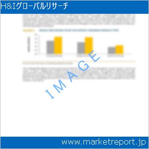 市場と産業調査レポートのイメージ